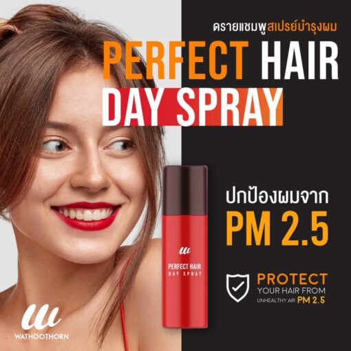 PERFECT HAIR DAY SPRAY
