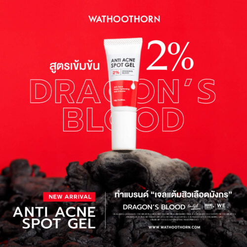 ANTI ACNE SPOT GEL