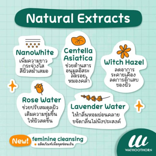 FEMININE CLEANSING - Image 3