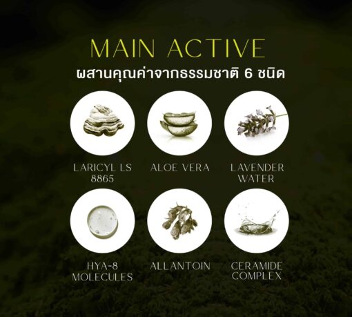 TOTAL MUSHROOM TONER - Image 4