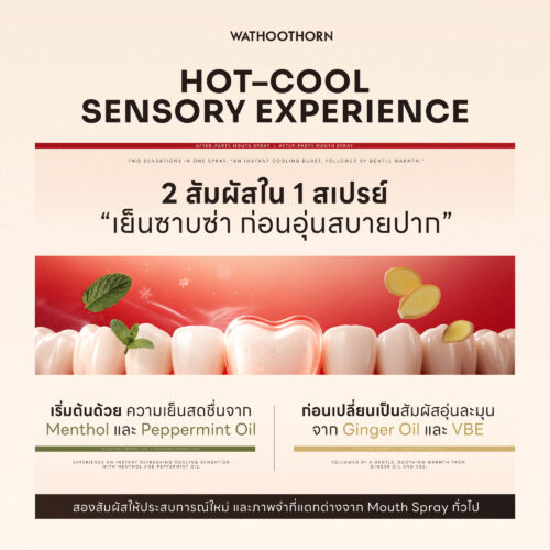 รับผลิตสเปรย์ดับกลิ่นปาก